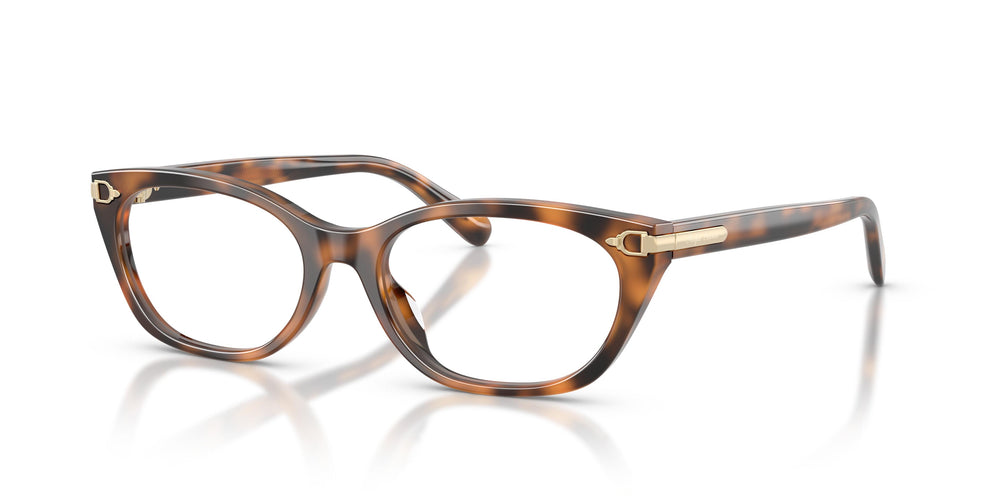 Ralph Lauren RL6268U 6089 53