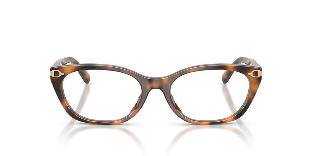 Ralph Lauren RL6268U 6089 53