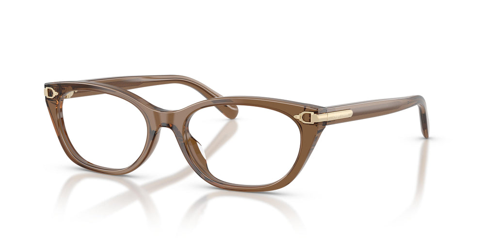 Ralph Lauren RL6268U 6377 53