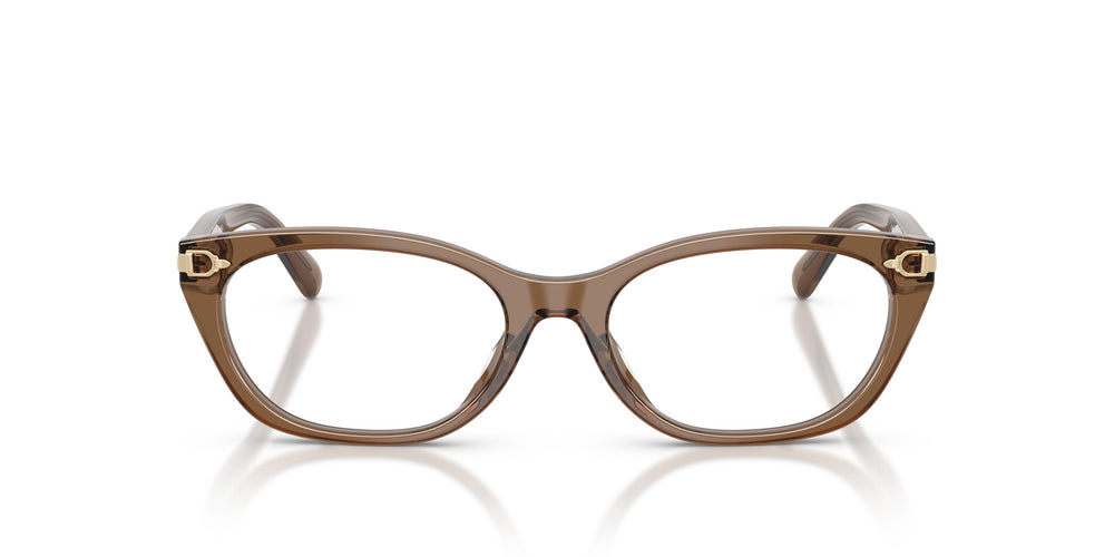 Ralph Lauren RL6268U 6377 53