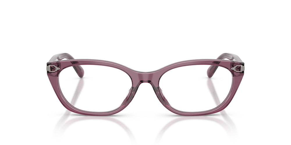 Ralph Lauren RL6268U 6389 51