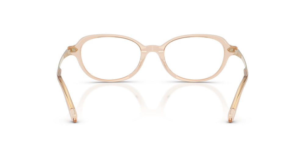 Ralph Lauren RL6269U 6062 51