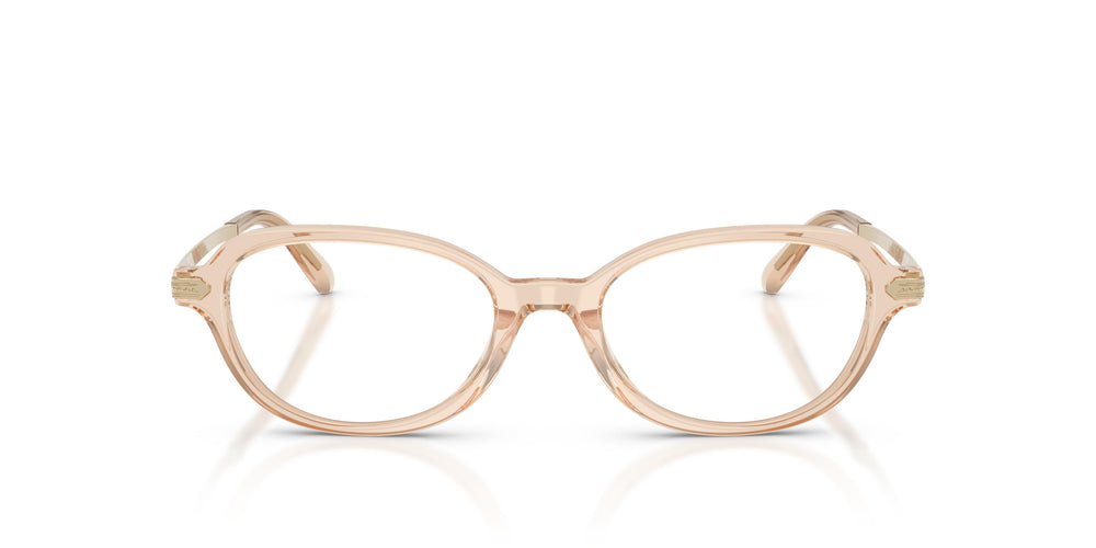 Ralph Lauren RL6269U 6062 49
