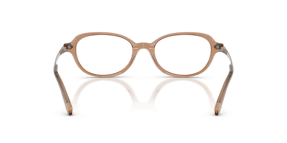 Ralph Lauren RL6269U 6377 49
