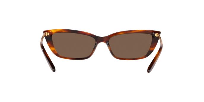 Ralph Lauren RL8173  500773 55
