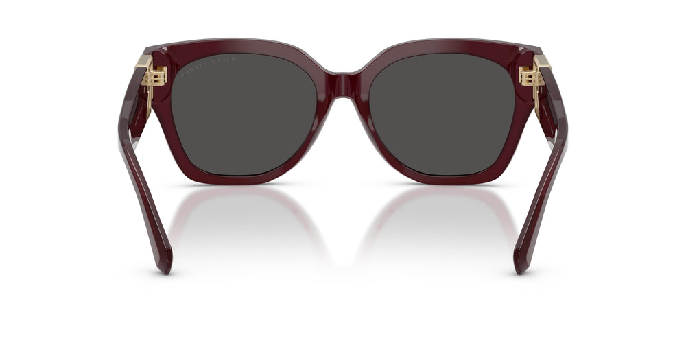 Ralph Lauren RL8221 THE OVERSZED RICKY 508387 55