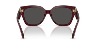 Ralph Lauren RL8221 THE OVERSZED RICKY 508387 55