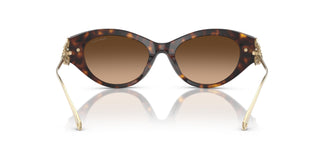 Ralph Lauren RL8227U  500374 52