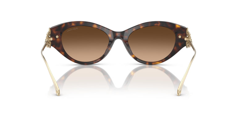 Ralph Lauren RL8227U  500374 52