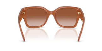 Ralph Lauren RL8230U  624413 54