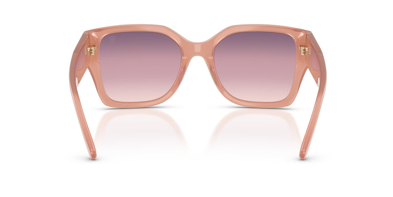 Ralph Lauren RL8230U  6281U8 54