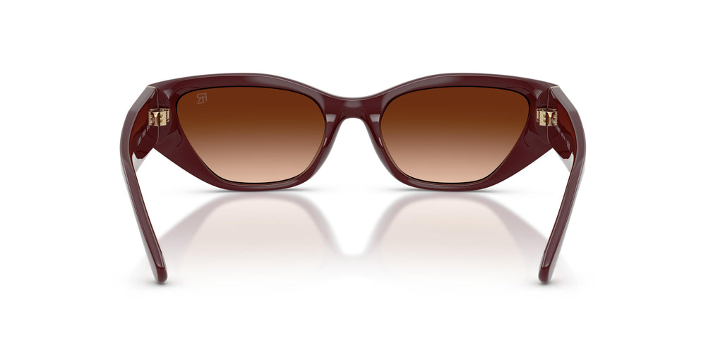 Ralph Lauren RL8231U 551674 55