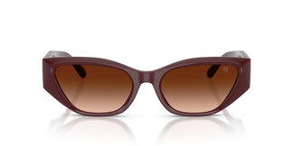 Ralph Lauren RL8231U 551674 55