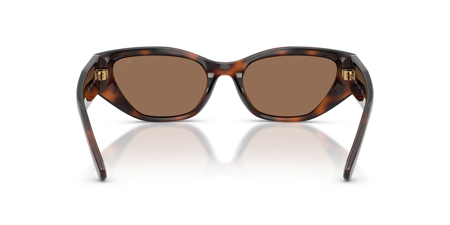 Ralph Lauren RL8231U  624173 55