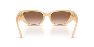 Ralph Lauren RL8231U  624513 55