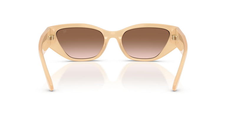 Ralph Lauren RL8231U  624513 55