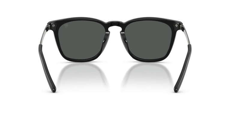 Ralph Lauren RL8233U  500187 53