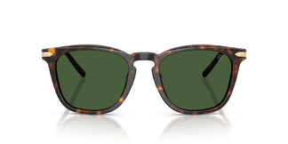 Ralph Lauren RL8233U  500371 53