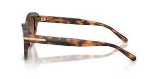 Ralph Lauren RL8236U 608913 54