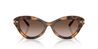 Ralph Lauren RL8236U 608913 54