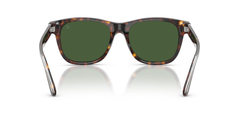 Ralph Lauren RL8239U 500371 54