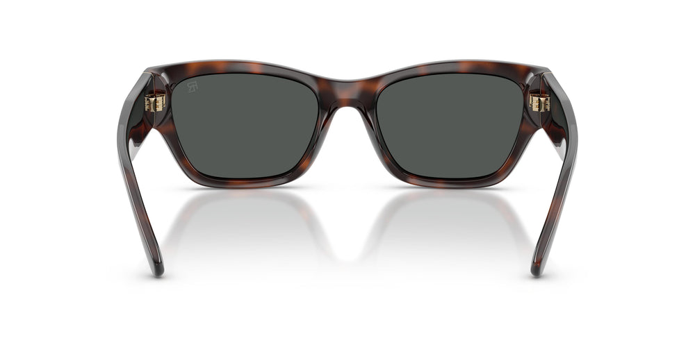 Ralph Lauren RL8240U 624187 55