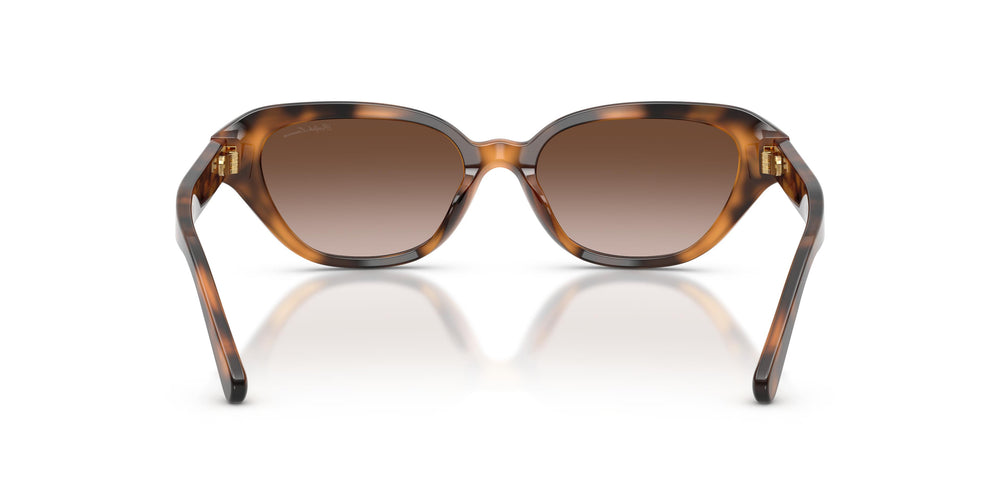 Ralph Lauren RL8244U 608913 53