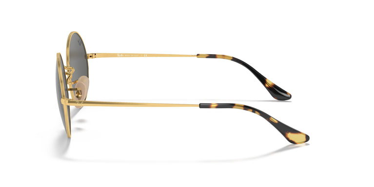 Ray-Ban RB1970 OVAL 9150B1 54