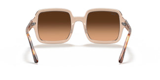 Ray-Ban RB2188 130143 53