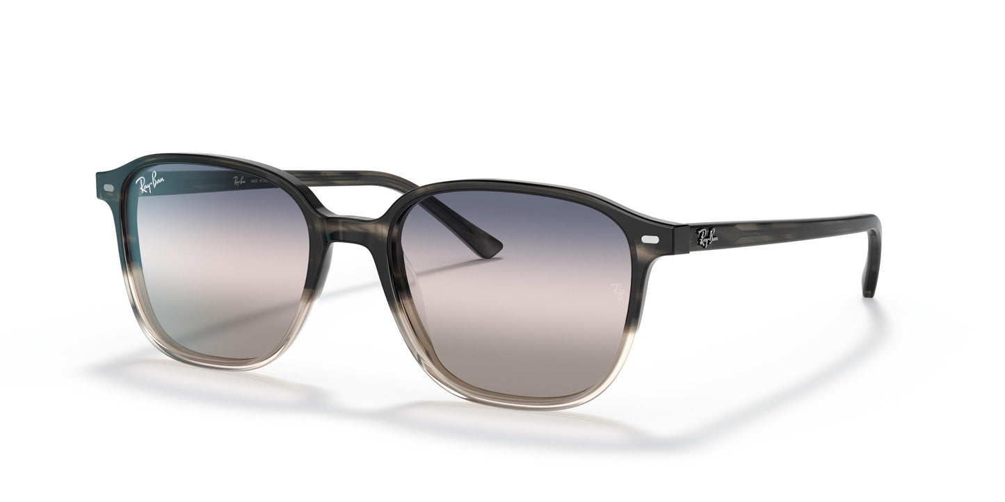 Ray-Ban RB2193 LEONARD 1326GE 53