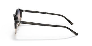 Ray-Ban RB2193 LEONARD 1326GE 53
