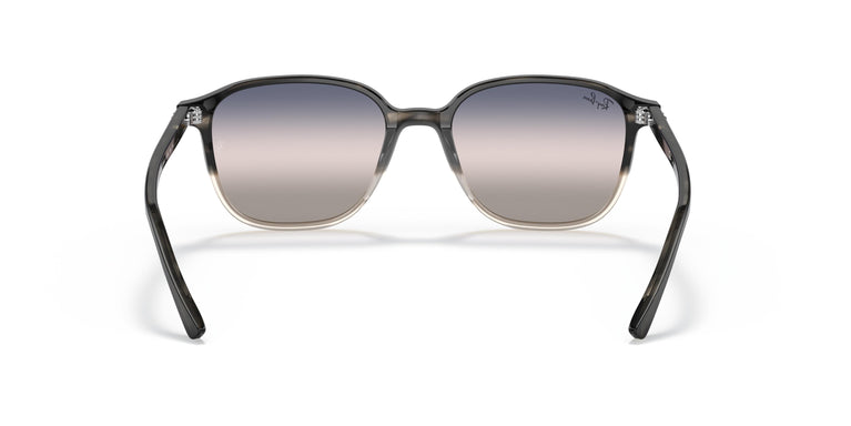 Ray-Ban RB2193 LEONARD 1326GE 53