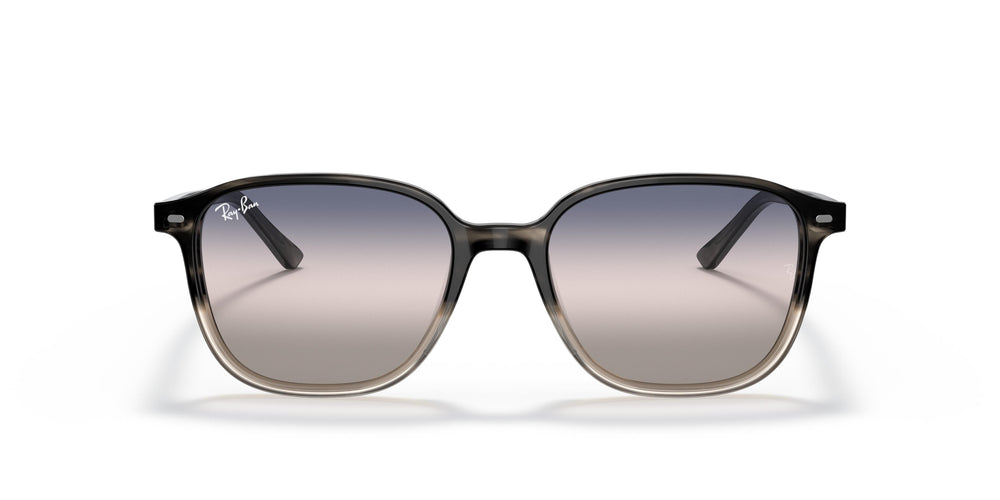 Ray-Ban RB2193 LEONARD 1326GE 53