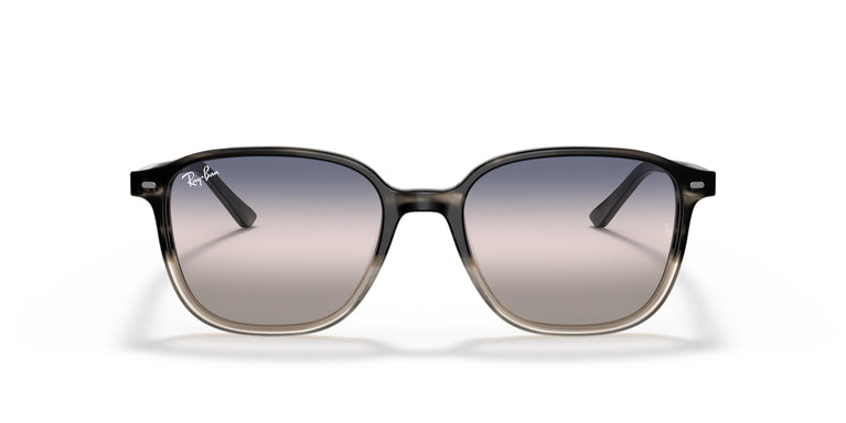 Ray-Ban RB2193 LEONARD 1326GE 53