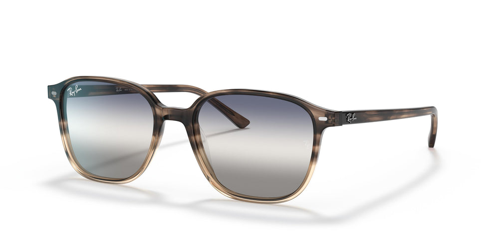 Ray-Ban RB2193 LEONARD 1327GF 53
