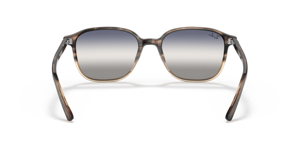 Ray-Ban RB2193 LEONARD 1327GF 53