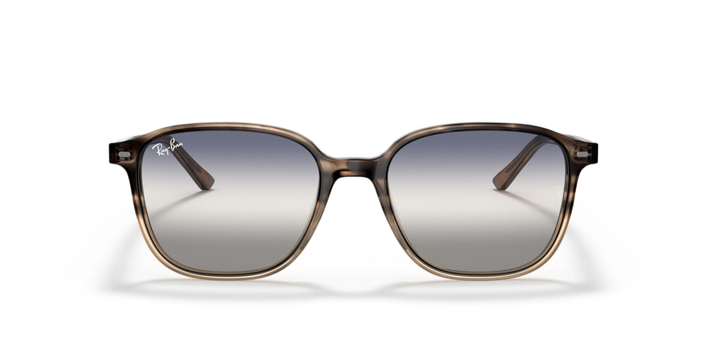 Ray-Ban RB2193 LEONARD 1327GF 53