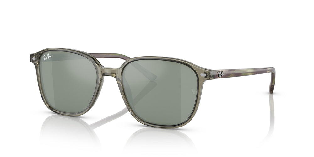 Ray-Ban RB2193 LEONARD 66355C 53