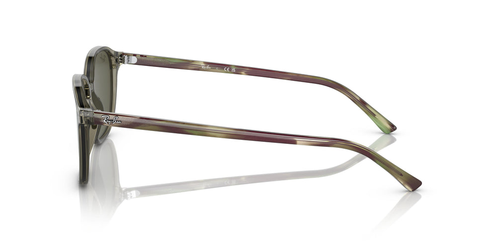 Ray-Ban RB2193 LEONARD 66355C 53
