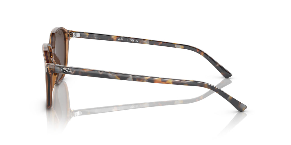 Ray-Ban RB2193 LEONARD 663693 53