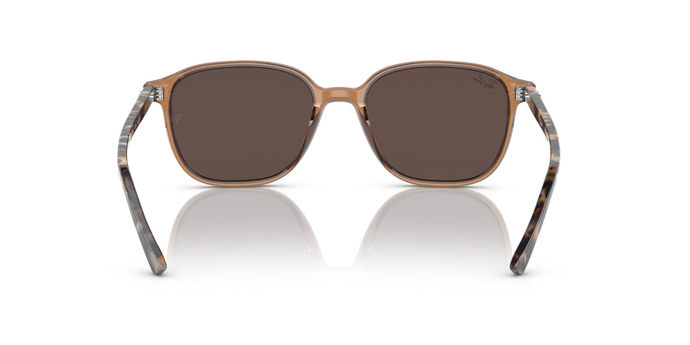 Ray-Ban RB2193 LEONARD 663693 53