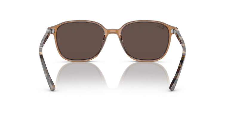 Ray-Ban RB2193 LEONARD 663693 53