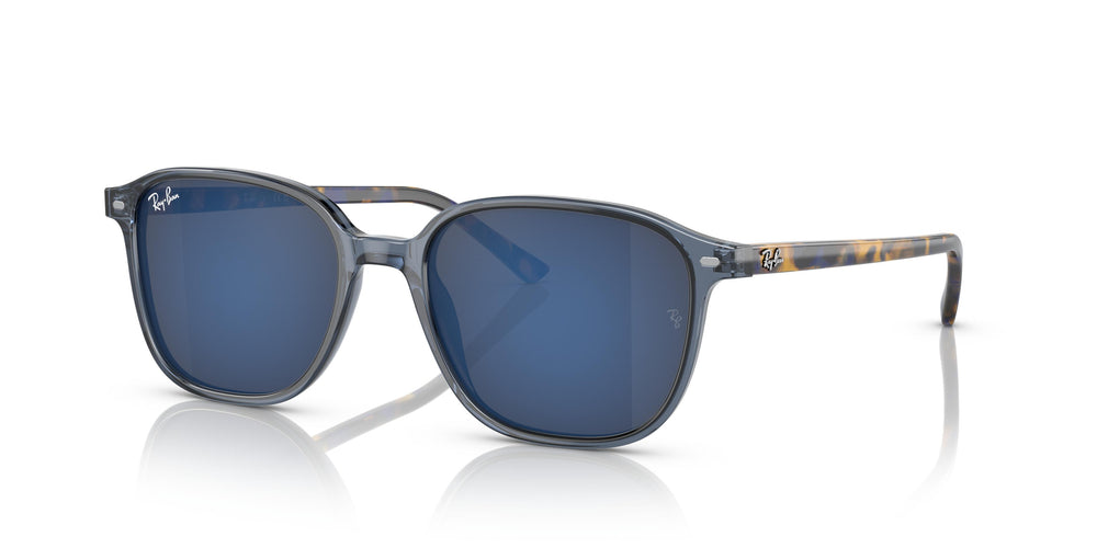 Ray-Ban RB2193 LEONARD 6638O4 51