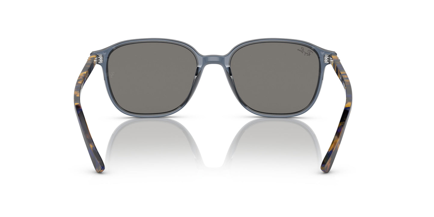 Ray-Ban RB2193 LEONARD 6638O4 51