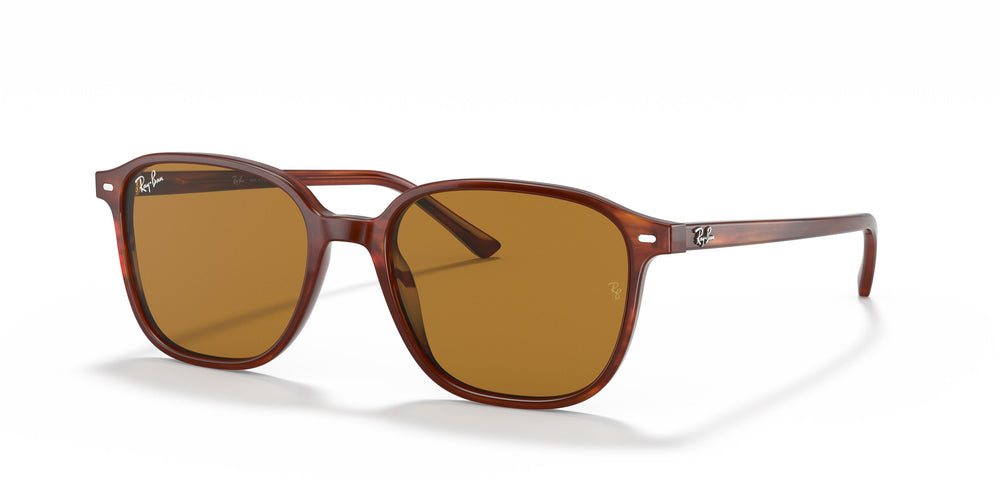 Ray-Ban RB2193 LEONARD 954/33 51