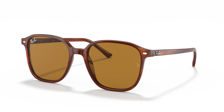 Ray-Ban RB2193 LEONARD 954/33 51