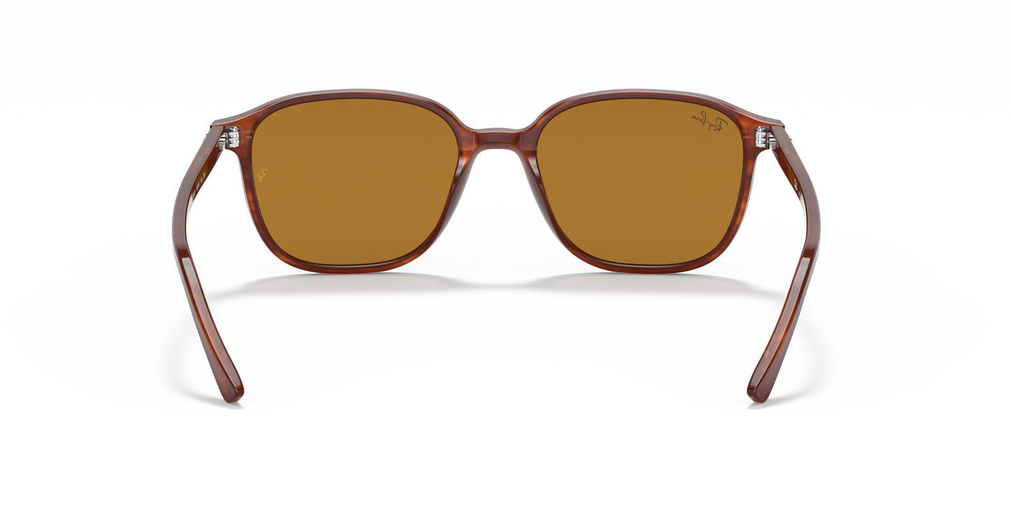 Ray-Ban RB2193 LEONARD 954/33 51