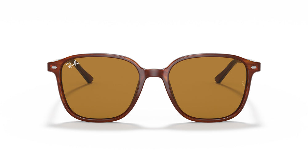 Ray-Ban RB2193 LEONARD 954/33 51