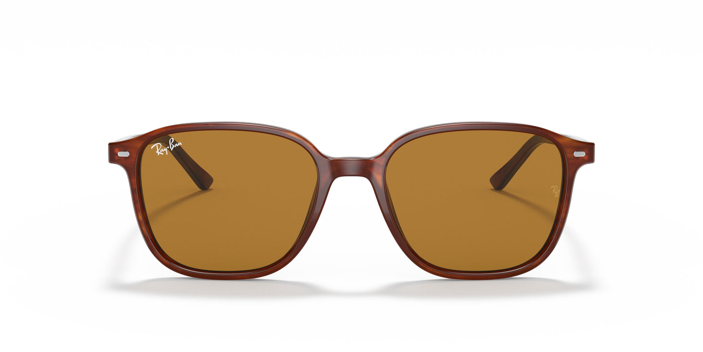 Ray-Ban RB2193 LEONARD 954/33 51