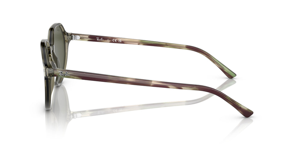 Ray-Ban RB2195 THALIA 66355C 53